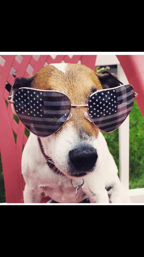 /Images/uploads/Humane Society of Utah/HSUCalendar/entries/831thumb.jpg